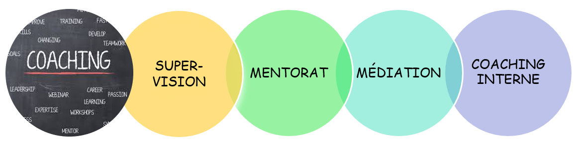 Les types d'accompagnement V2 FR